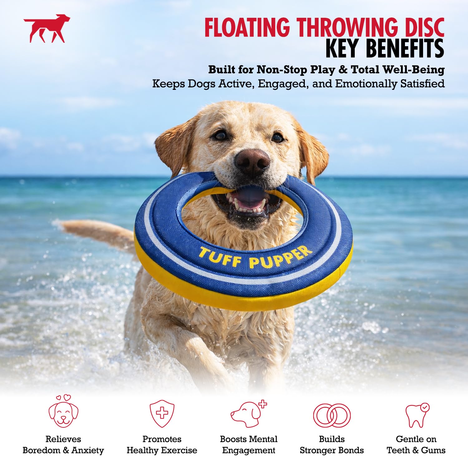 Tuff Pupper Frisbee flottant pour chien | À rapporter seulement et non un jouet à mâcher | Disque de rapporter en mousse souple | Jeu d'eau et de neige haute visibilité | Doux pour les dents | Jouet