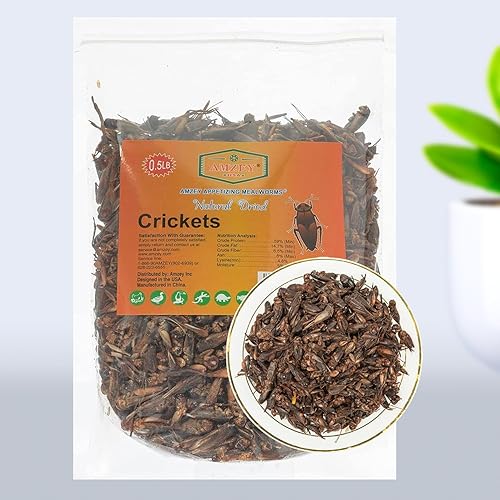 Amzey Appetizing Mealworms Grillos secos naturales Alimento para dragones barbudos, aves silvestres, pollo, pescado y reptiles (bolsa resellable