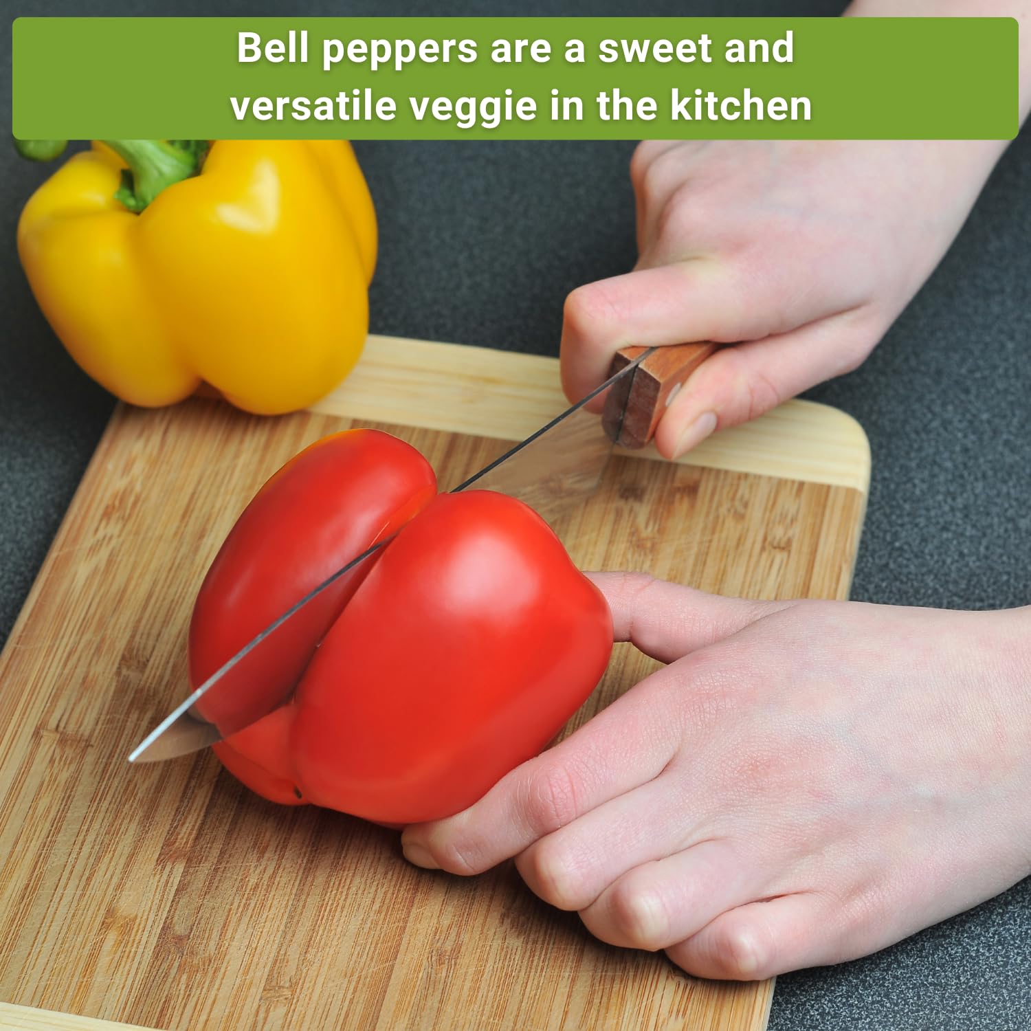 Sow Right Seeds - Sweet Bell Pepper Seed Collection for Planting a Home Garden - Red, Yellow, Purple, Orange and Chocolate Brown Bell Peppers - Non-GMO Heirloom Variety Pack Vegetable Seeds to Plant