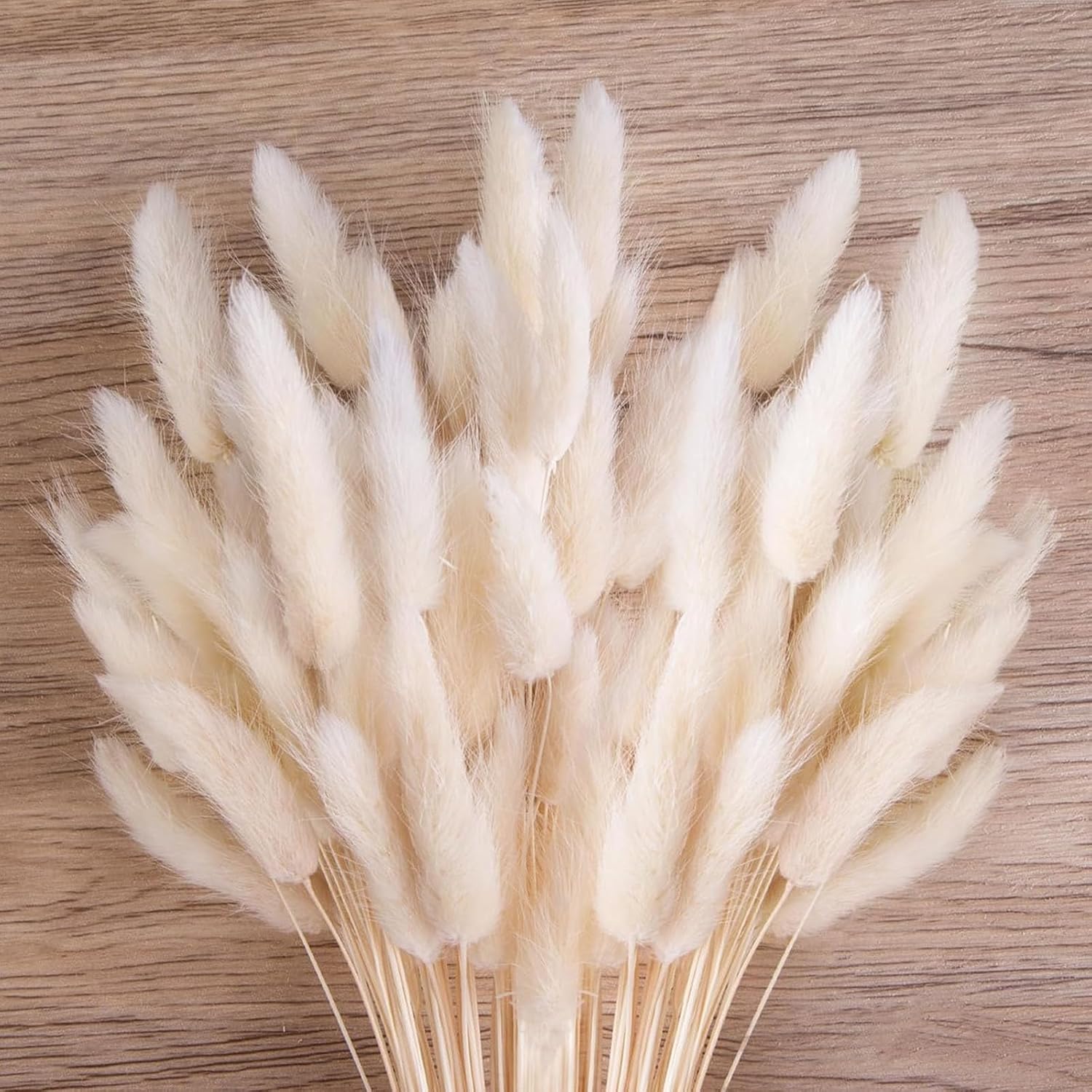 TIED RIBBONS Set of 50 Pcs Natural Dried Bunny Tail Pampas Grass White Color Bunny Tail Pampas Boho Bouquet Artificial Flowers Decor for Table Vase Living Room Home Decoration (20 inch Length)-image-39