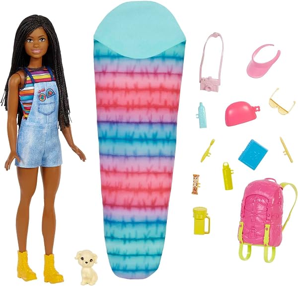 Barbie It Takes Two Doll & Accessories