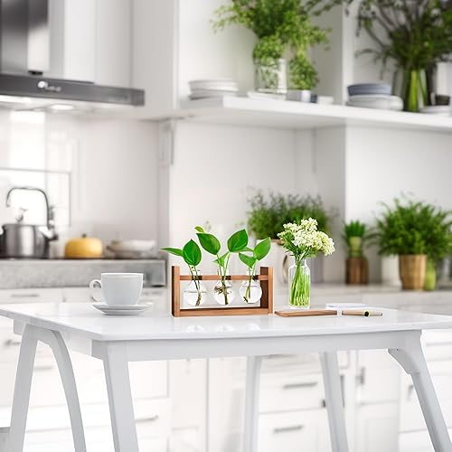 Miniatura 8 de Ivolador Estación de propagación de mesa, terrario de bombillas de vidrio con soporte retro de madera maciza para plantas hidropónicas, decoración