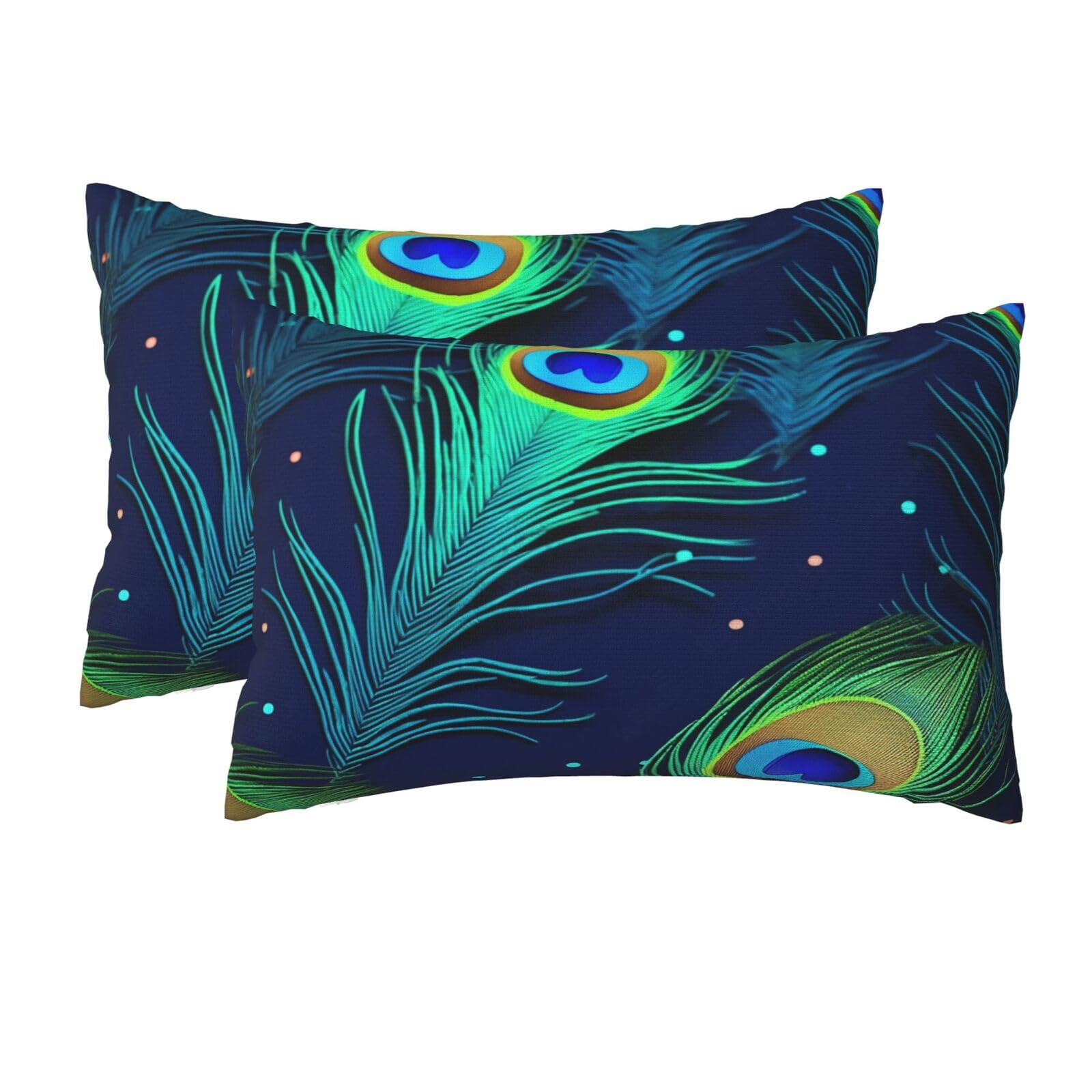 2 Pack Queen Size Pillow Cases for Hair and Skin Soft Breathable Pillow Case Covers with Hidden Zipper Peacock Feather Pillowcase 20x30 Inches Pillow Cover for Sleeping Gift