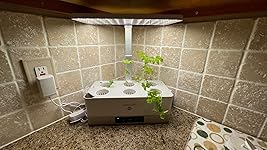 Review Image by JJsPOPS