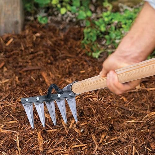 Miniatura 4 de Yangbaga Rastrillo de hierro, rastrillo de jardín, herramientas de jardinería, rastrillo resistente con 5 púas de metal, rastrillo para jardinería