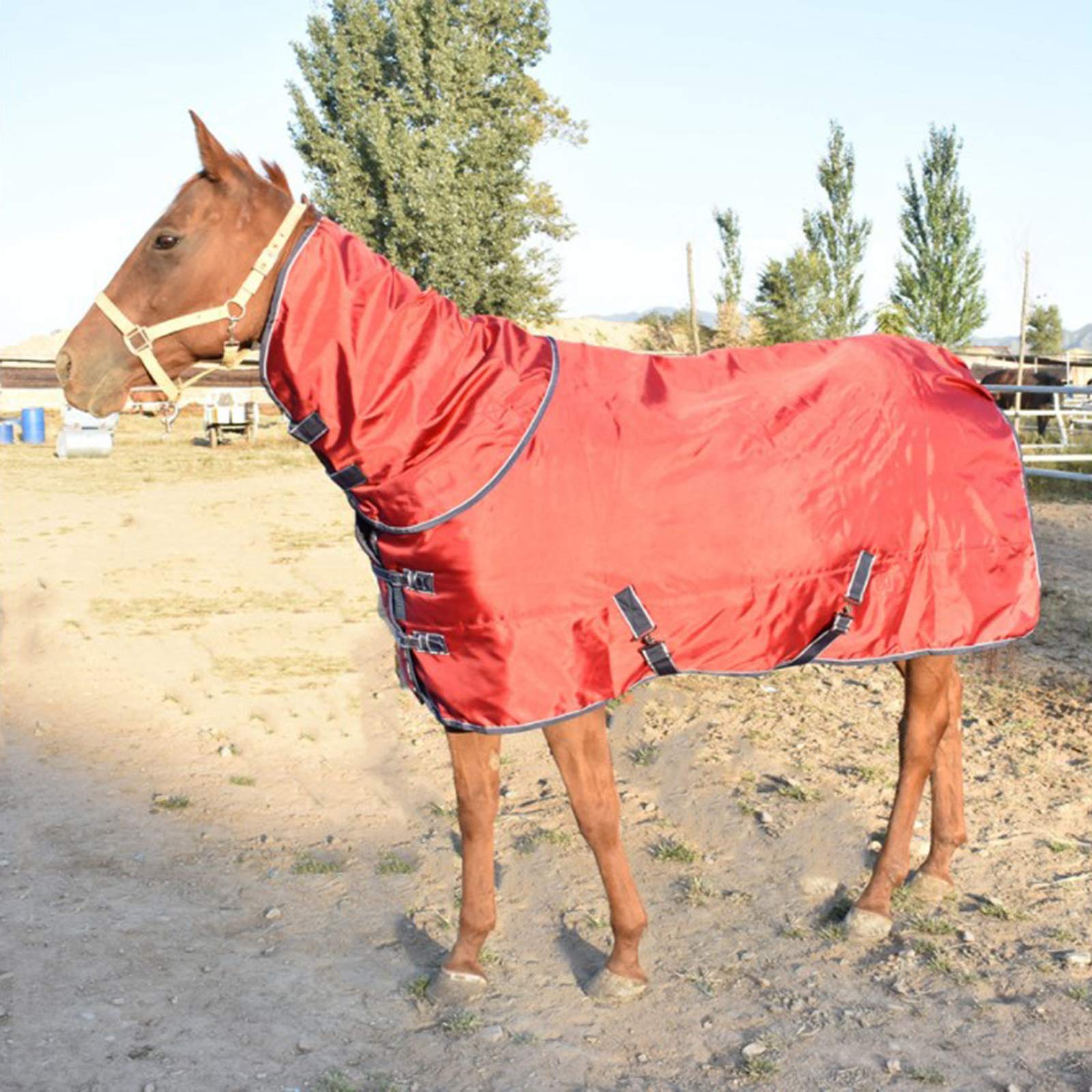 Coperta invernale per cavalli, impermeabile, per esterni, morbida, invernale, con cavallo (rosso, 140 cm)