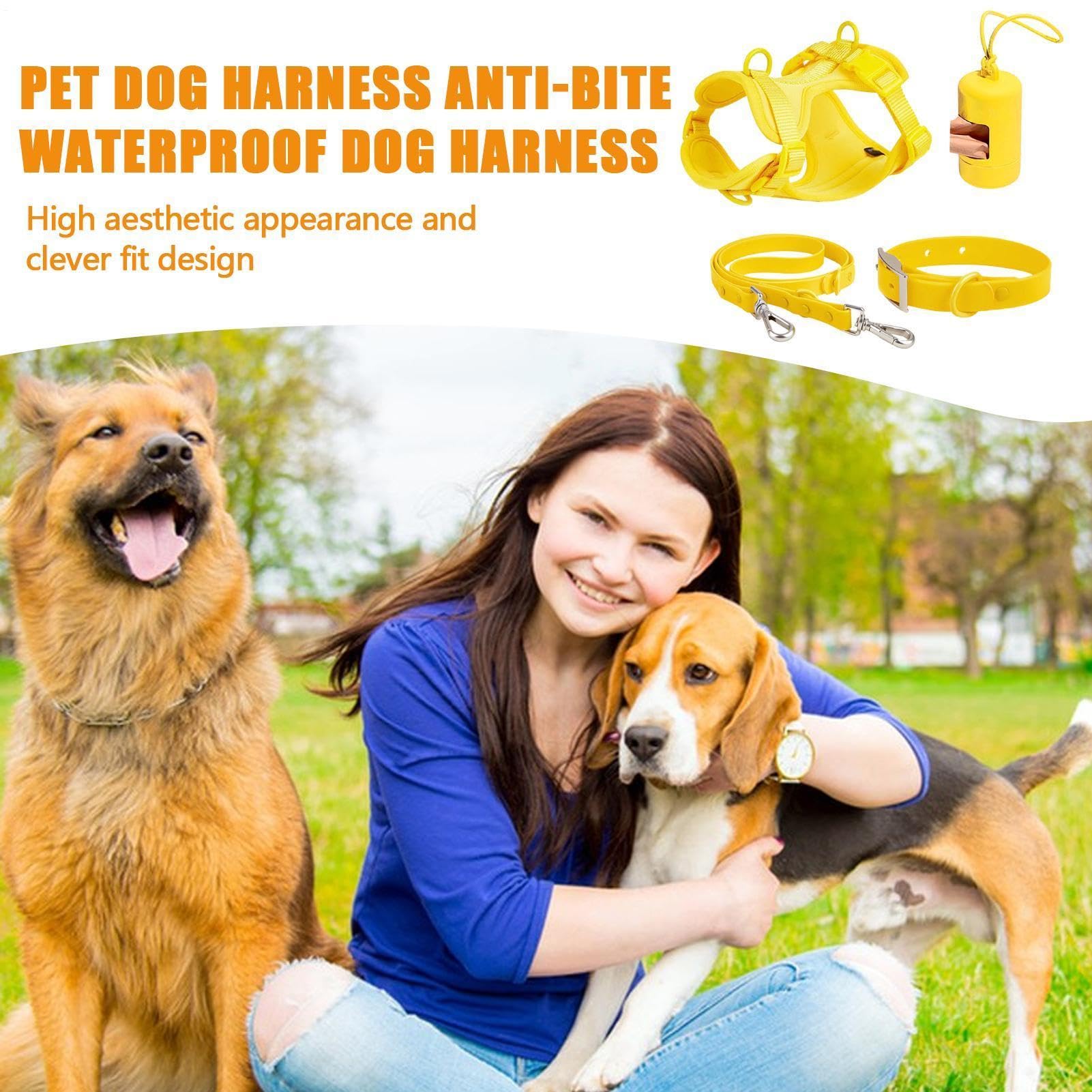 Hundeleinen-Set, Hundegeschirr-Set Verstellbares Hundehalsband | Kleines Haustiergeschirr-Set aus Halsband und Leine, verstellbare Hundewestengeschirre ohne Zug mit Kotbeutelhalter