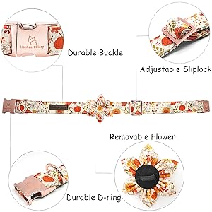 Lionheart Premium Dog Collar - Heavy Duty, Adjustable, Flower Pattern with Bow Tie for Large Dogs