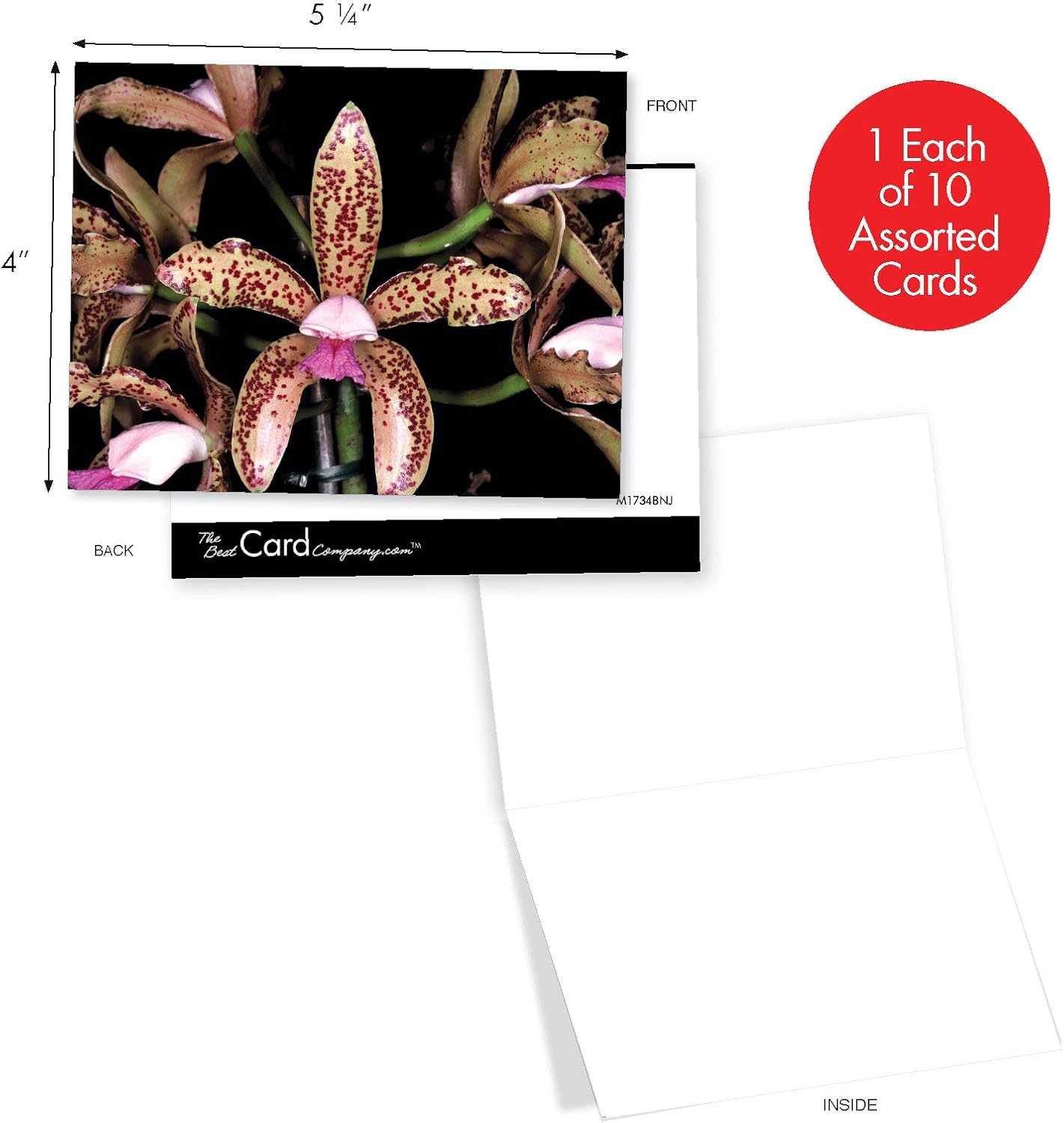 buy the best card company 10 blank note cards with flowers (4 x 5.12 inch) floral notecards, all occasion boxed assortment orchid nights m1734bn online in indonesia. b015jm009o buy the best card