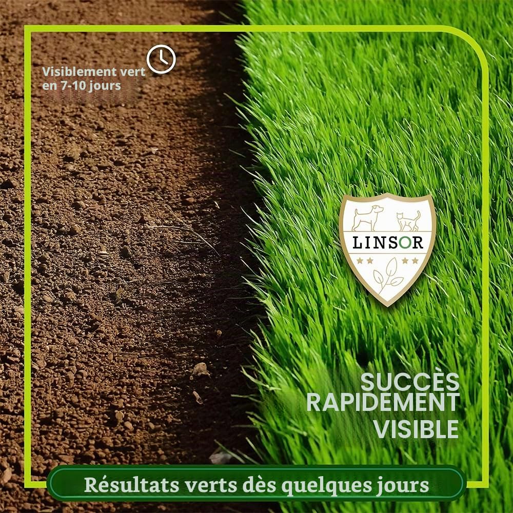Gazon magique, 10 kg pour 500 m², graines de gazon à germination rapide, mélange de graines de qualité supérieure
