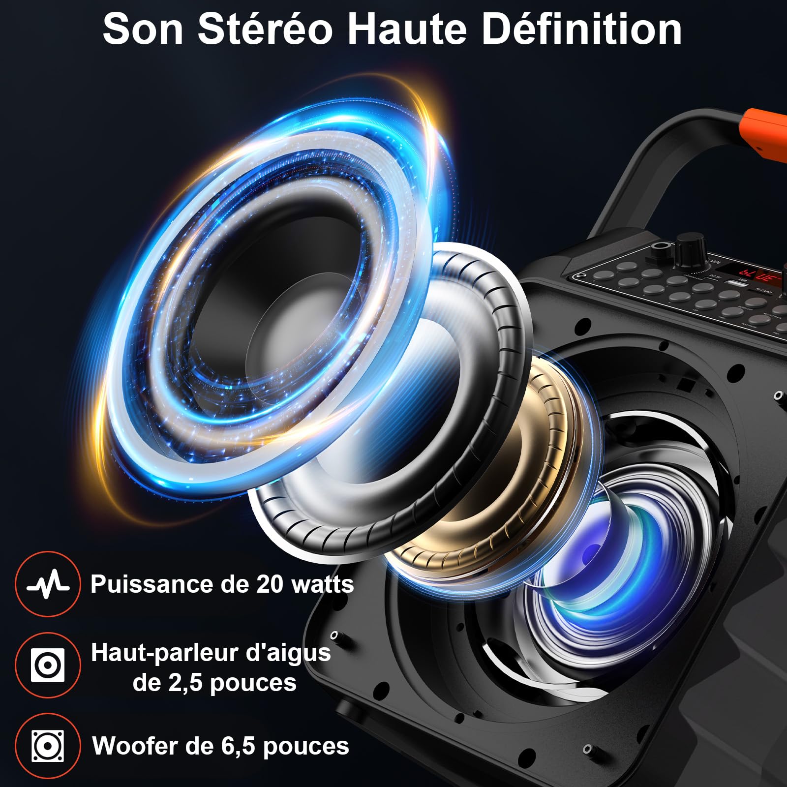 HWWR Karaoke Adulte avec 2 Microphones, Karaoké Professionnel Portable Bluetooth 5.3 avec LED, 80W Puissance Enceinte Micro, Haut-Parleur Amplifié Portable Système Karaoké Soutien REC/USB/TF/AUX