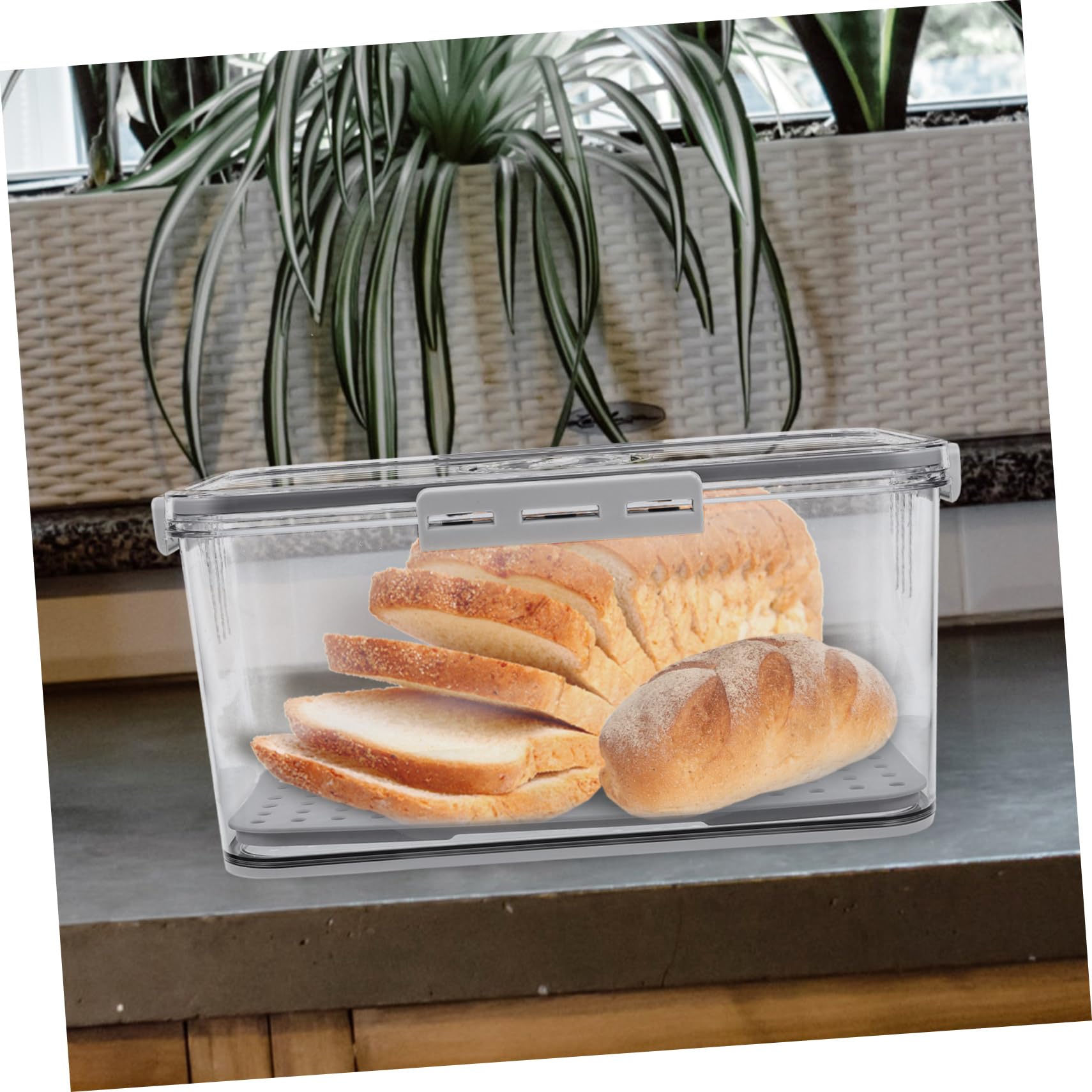 Brotdose Aus Bruchfestem Kunststoff Mit Timerdeckel Für Kühlschrank Und Aufbewahrung Von Obst Gemüse Inklusive Herausnehmbarer Abtropfschale