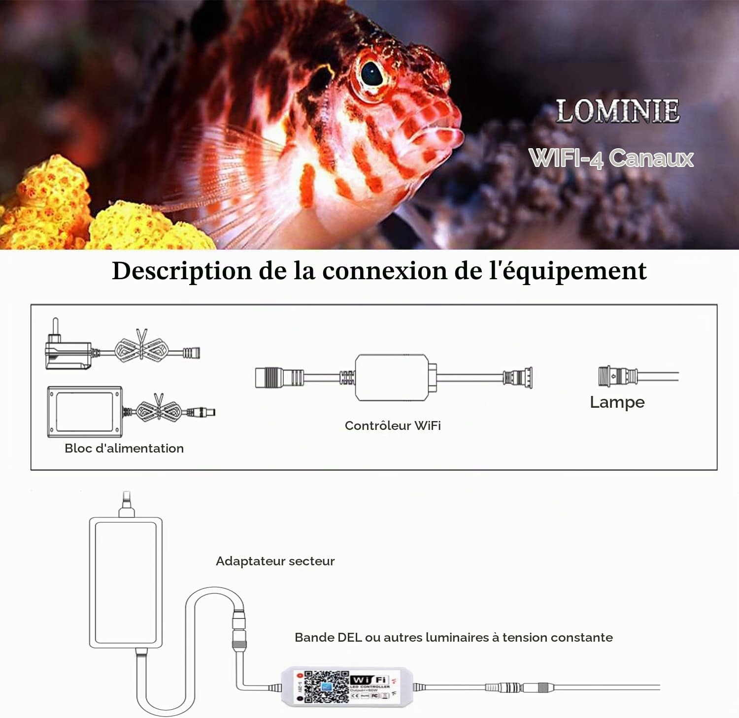 Couverture d'aquarium Lominie, durable (4TD-WF)Lominie 4 Channels Aquarium Light WiFi Controller for Upgraded Asta 20 Pixie 30 Asta 120 Pixie 80 G-Series (5 Holes for The Luminaire Connection)