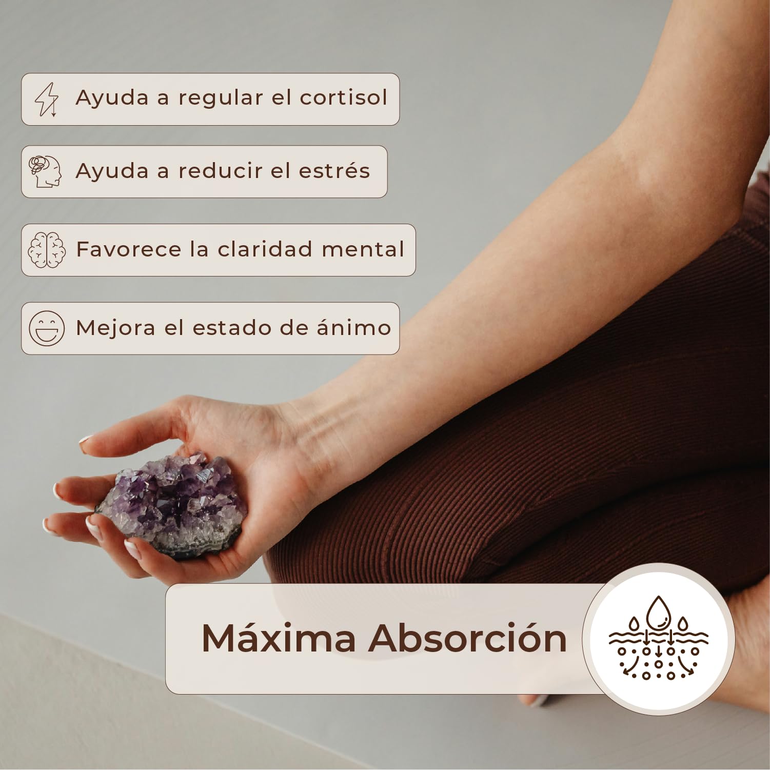 KobhoCALM Ashwagandha Shoden® Con Rhodiola y Psicobióticos | Equilibrio Emocional, Apoyo al Estrés, Claridad Mental y Concentración, 60 cápsulas veganas