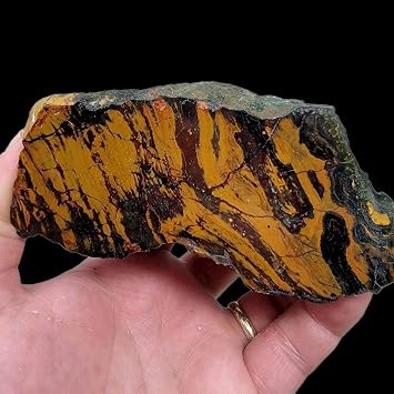 Polished Kaleidoscope Jasper Display Specimen!