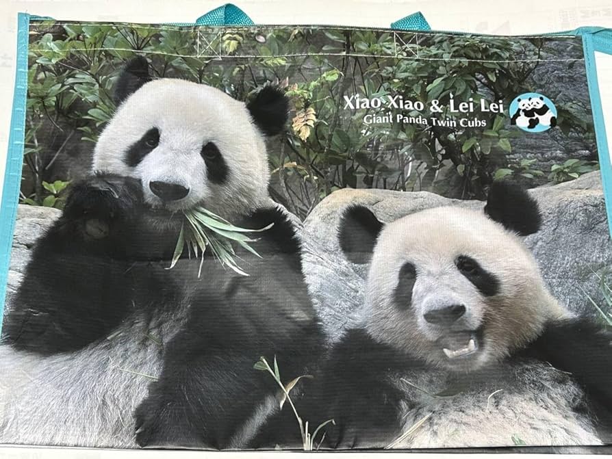 Amazon.co.jp: シャオシャオ レイレイ 3歳 記念グッズ 公式 お