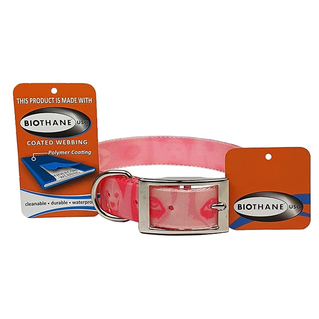 Foto 3 de 3 de Collar para perros Biothane Gold (Pink Beagle)