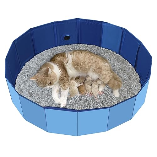 Cat Birthing Box, Whelping Box for Cats, Cat Birthing Nesting