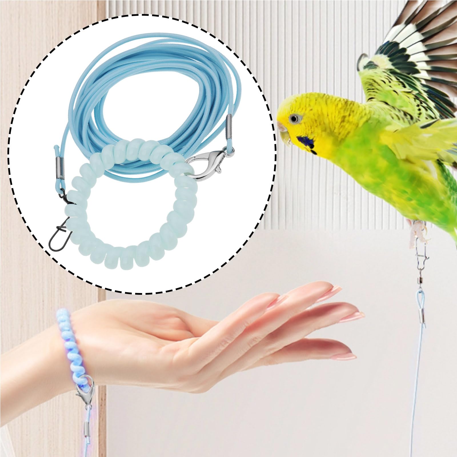Harnais pour oiseaux avec anneau 4 # Bleu 3 m