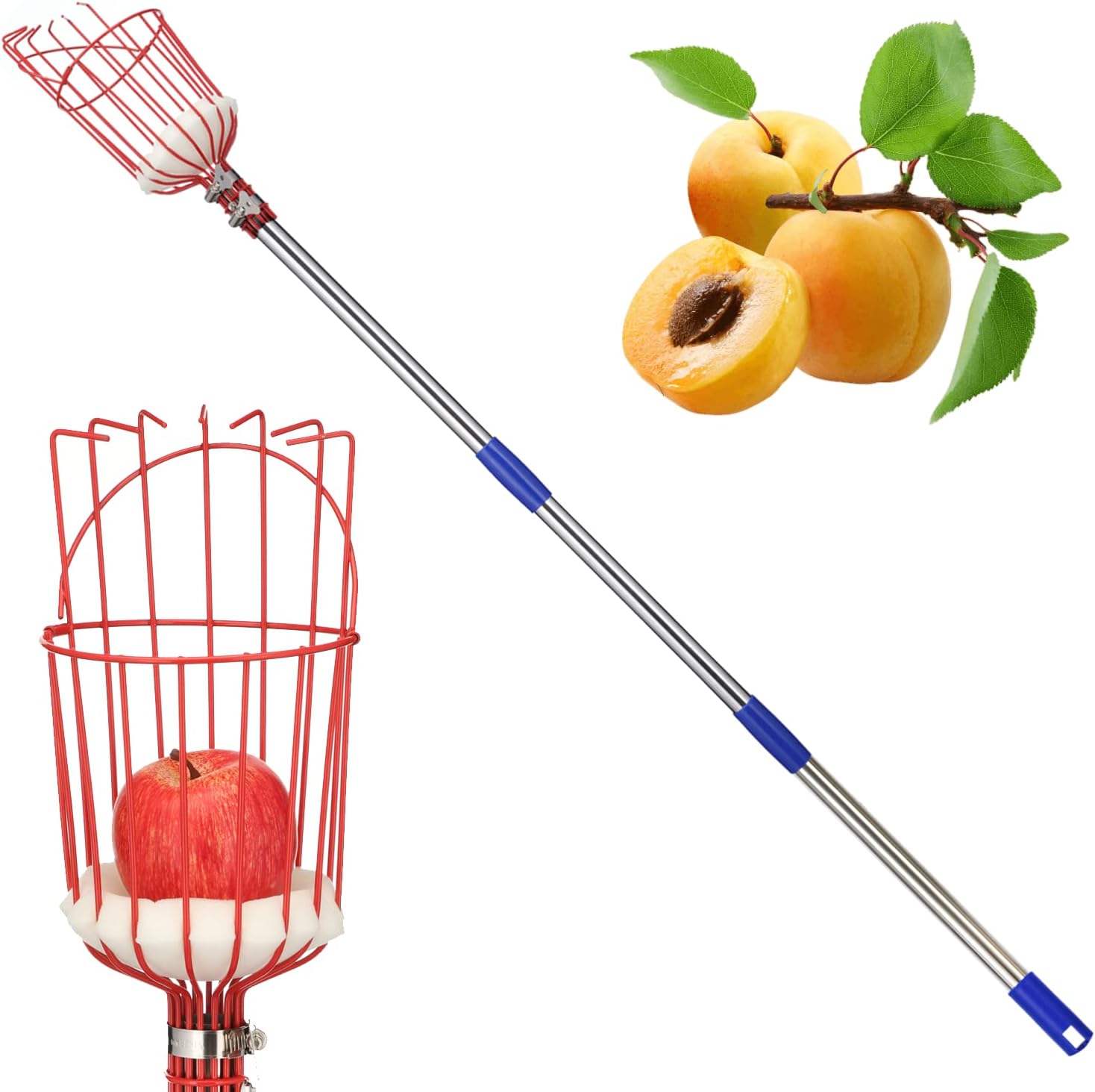 Fruit Picker Tool, 13 Ft Extendable Pole with Basket for Fruit Picker, High Reach Stainless Steel Fruit Picking Tool for Apple, Orange, Citrus, Pear, Mango from Trees, Easy Install and High Reach