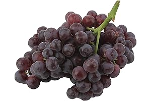 Sun Pacific Luscious Organic Candy Grapes: A Quintessential Fusion of Taste and Wellness