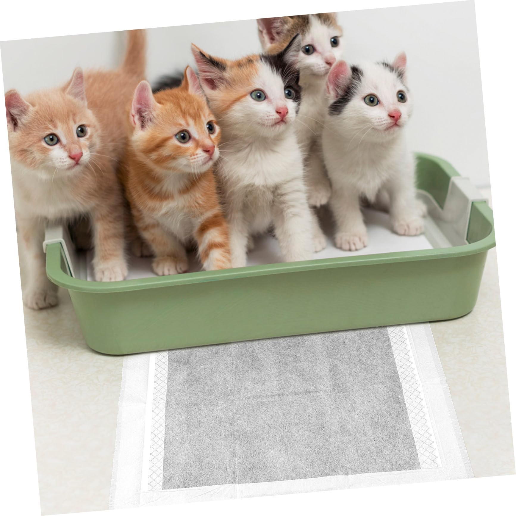 100stücke Verdickte Hunde-toilettentrainingsunterlagen für Welpen Einweg-Pads für Drinnen Unbedenkliches Material für Welpenunterlagen