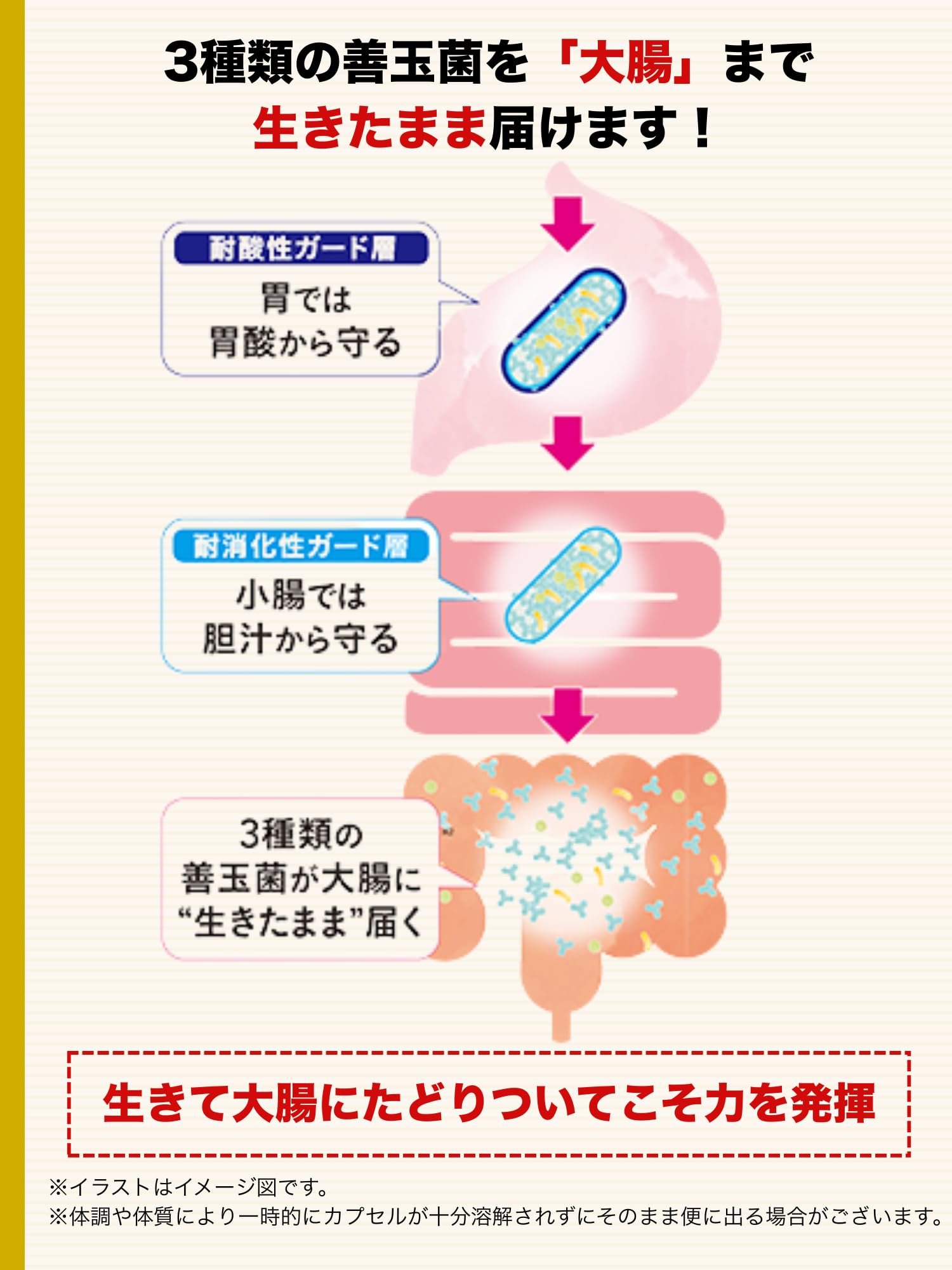 Amazon | ビフィコロン/トリプルアシスト/ビフィズス菌・乳酸菌・酪酸