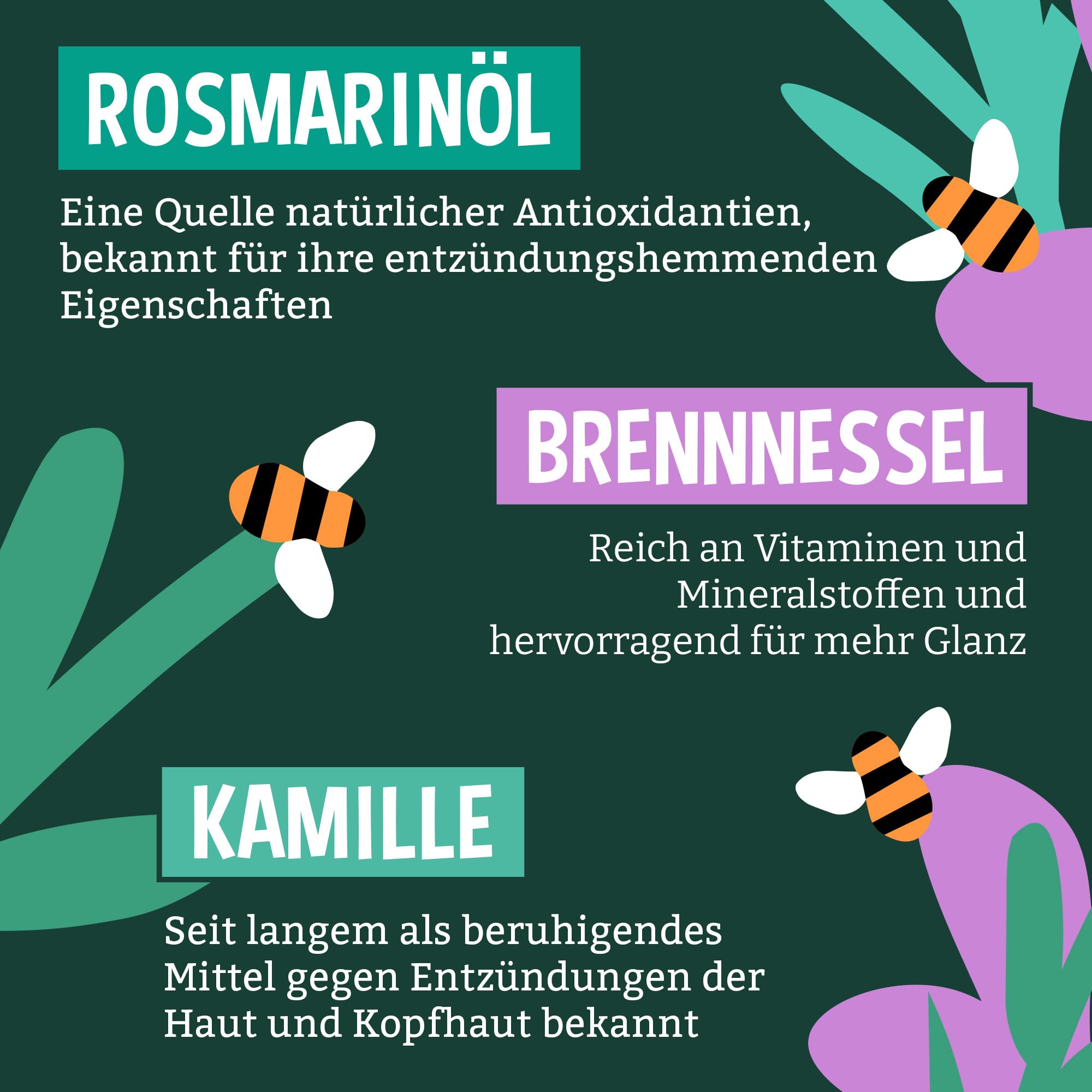 Faith In Nature Natürliches Lavendel- & Geranium-Shampoo, ausgleichend für normales Haar und Kopfhaut, vegan & tierversuchsfrei, ohne SLS, Silikone oder Parabene, 5-Liter-Nachfüllpack