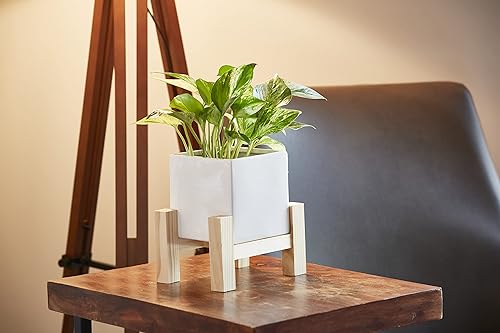 Miniatura 4 de Southern Patio Hemingway - Maceta cuadrada de cerámica para interiores con soporte de madera, color blanco