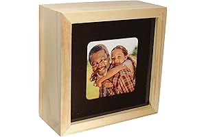 Ring Camera Plant Hidden Cover (Woodgrain)