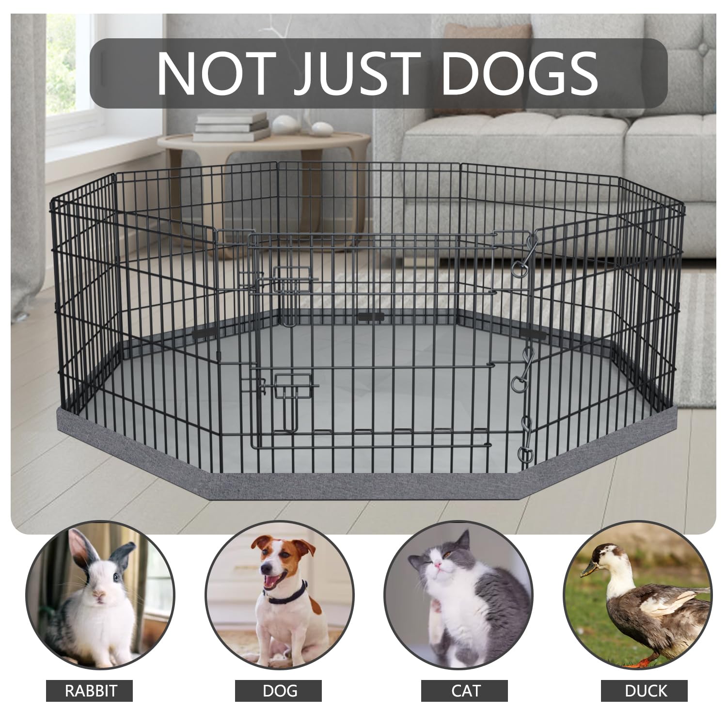PETIME Recinzione pieghevole in metallo per cani e cuccioli, recinto per interni ed esterni, 8 pannelli, 61 x 61 cm (larghezza x altezza), con cuscinetto inferiore (con cuscinetto inferiore, 8
