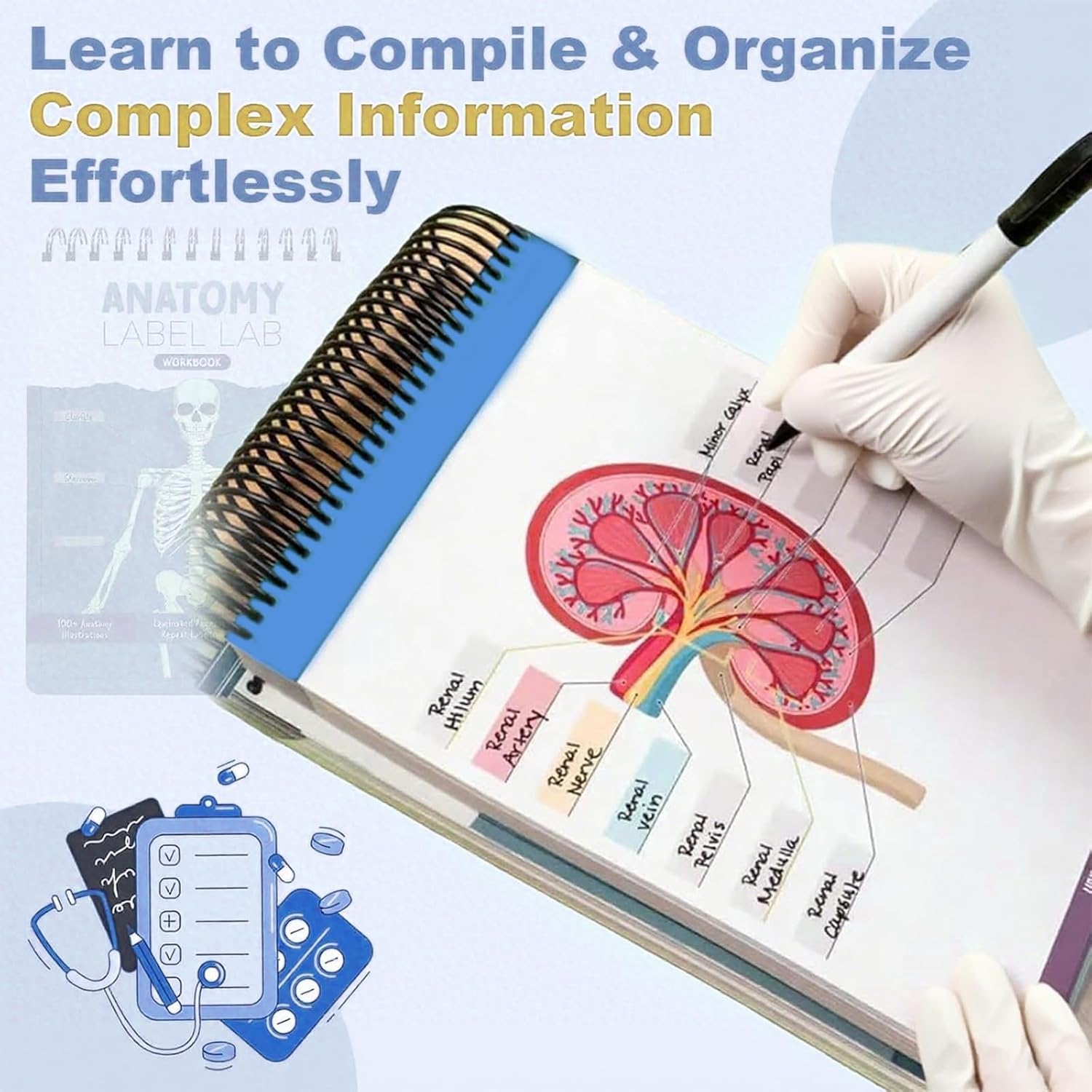 Director Of Nursing Planner Anatomy Label Lab Workbook ...