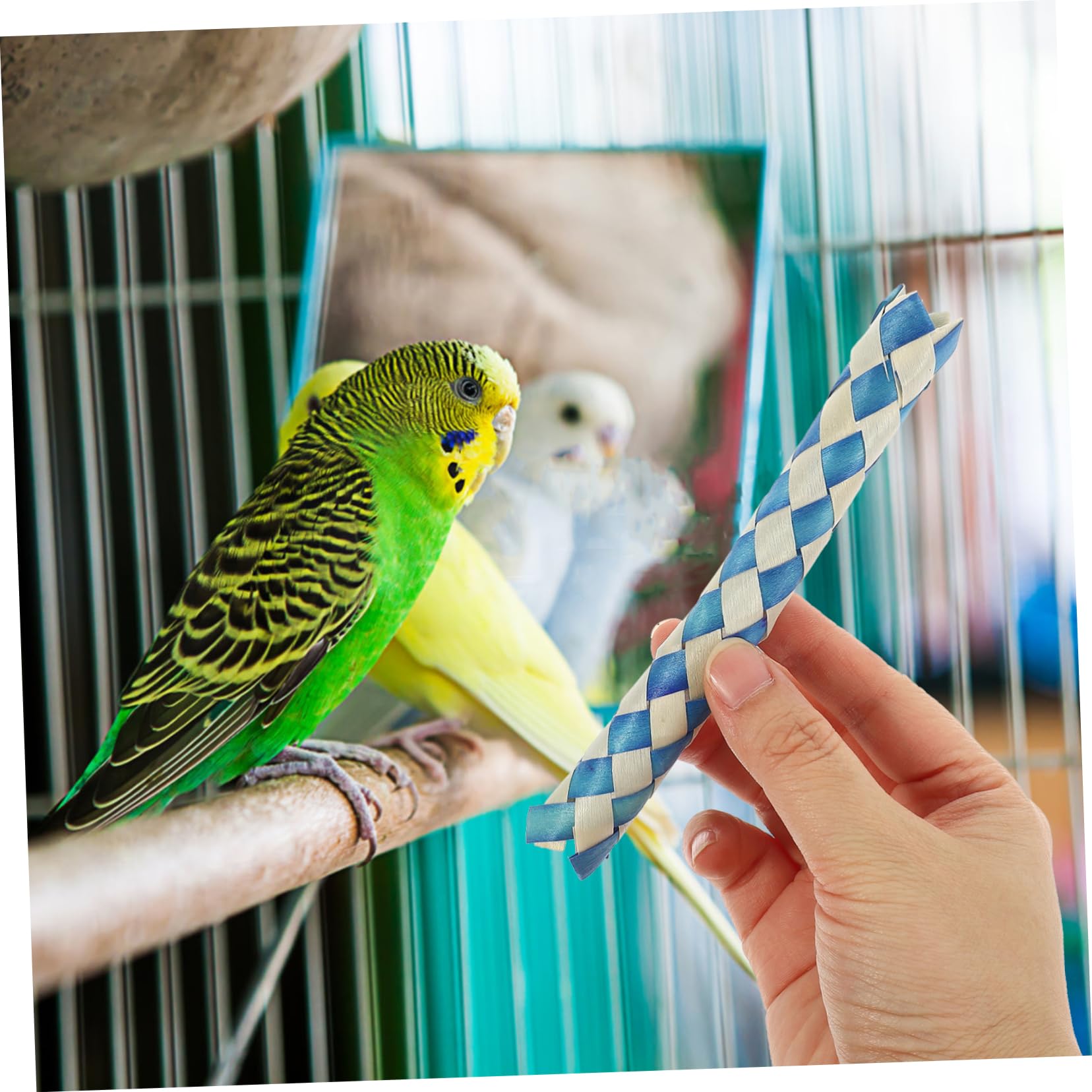 24pièces Jouets Tressé pour Oiseaux Remplissage De Et Anniversaire Jouets à Mâcher pour Perroquets Aléatoires