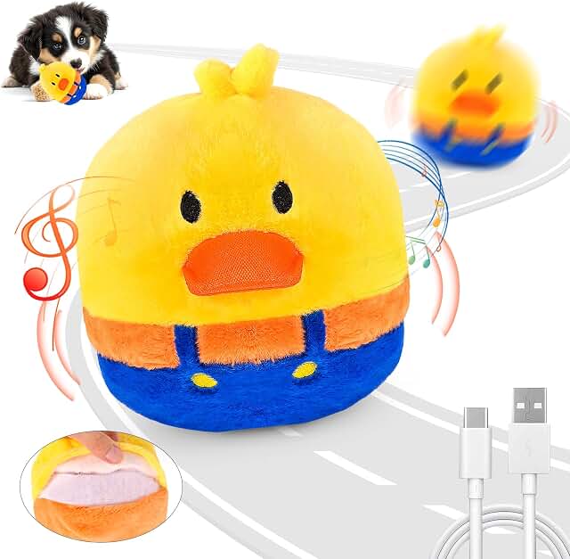 VYsTN Interactive Toy