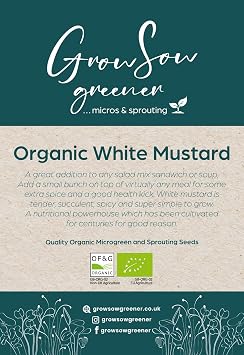 Organic White Mustard Microgreen Seeds (50g)