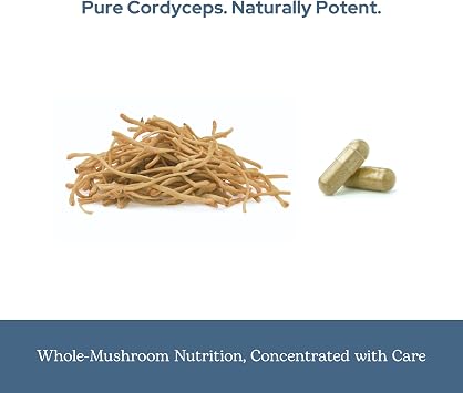 Eclectic Cordyceps FDV, 120 Count