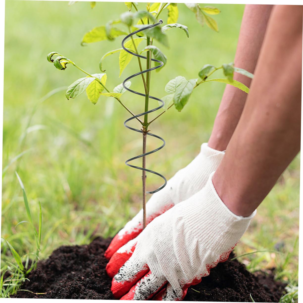ibasenice Tuteur Spiralé de Support pour Plantes, Lot de 8 en Fer