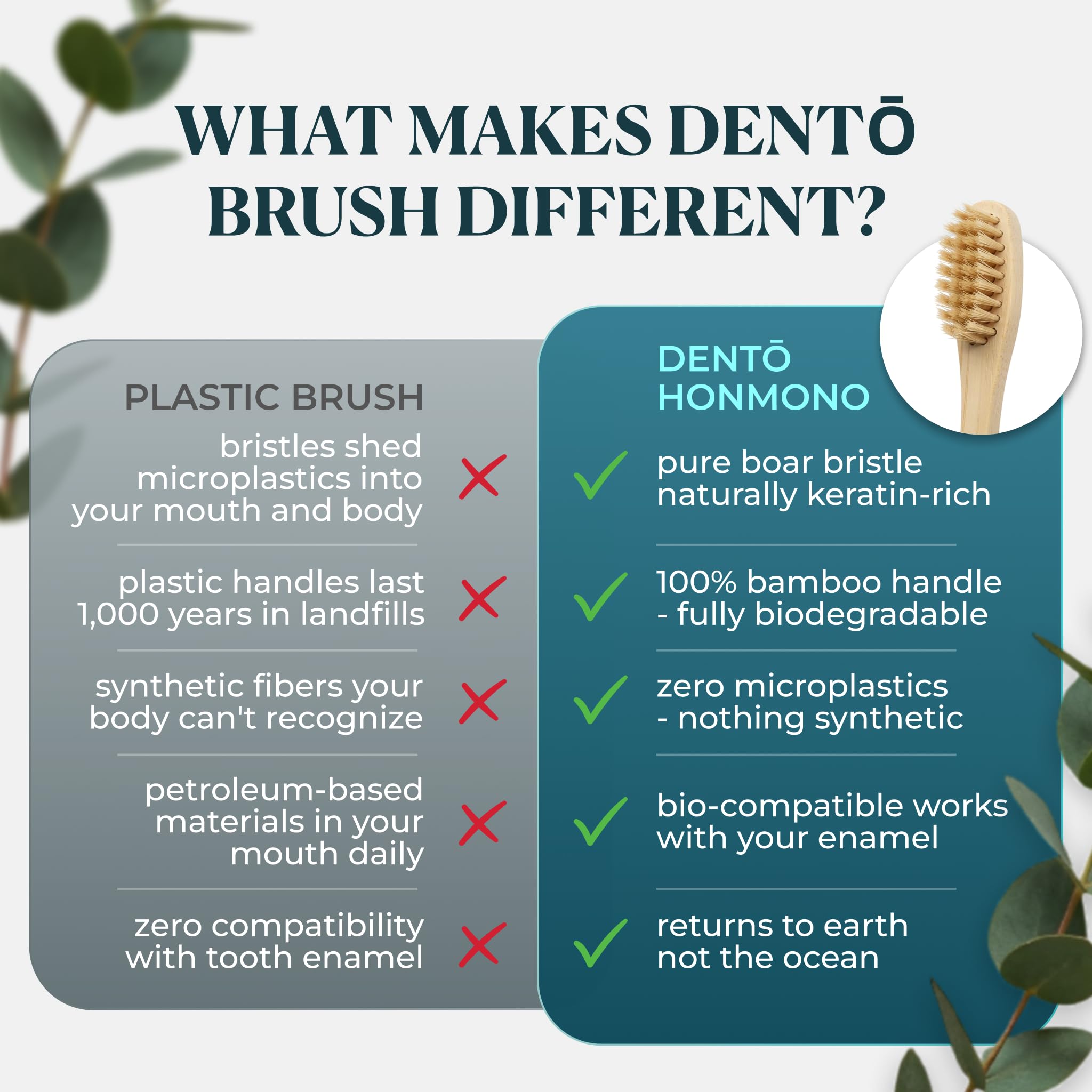 Dento Spazzolino da denti con setole di cinghiale e bambù (confezione da 4) – Setole di cinghiale di alta qualità – completamente biodegradabile – senza plastica e nylon – Design ad asciugatura rapida