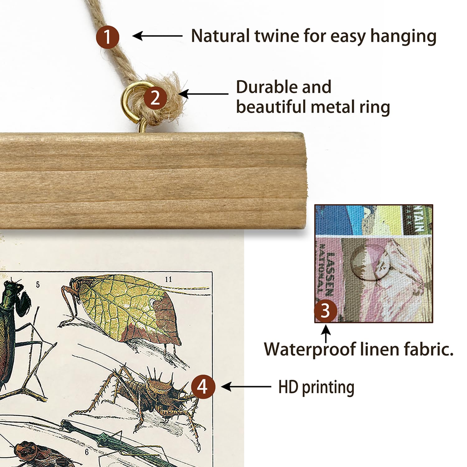 Snapklik.com : XIAOAIKA Vintage Entomology Poster - Illustrated Insect ...
