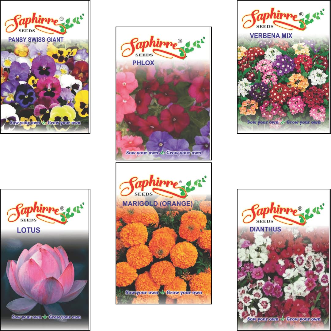 Saphirre Seeds Easy to Grow 6 Flower Seeds Winter Combo | Marigold, Dianthus, Phlox, Verbena Mix, Pansy Swiss Giant, Lotus | 460+ Seeds | Gift for Gardners and Plant Lovers (Winter Flower Seeds Combo) (B0D8WBMC28) Amazon Price History, Amazon Price Tracker