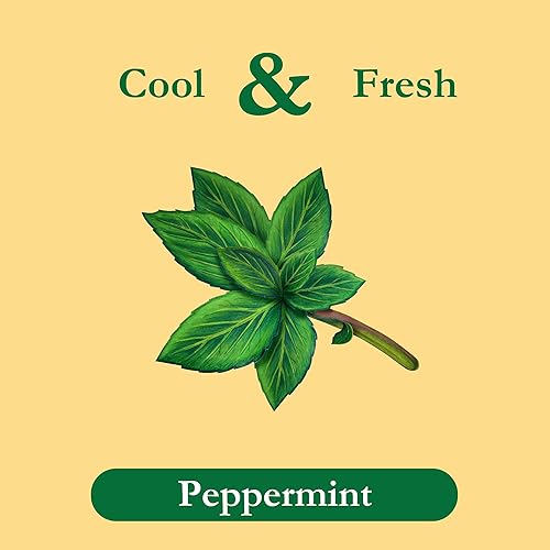 Vista 24 de Tadin Herb & Tea Co. mezcla de té de Guanábana, sin cafeína, 24 bolsitas de té, Paquete de 6