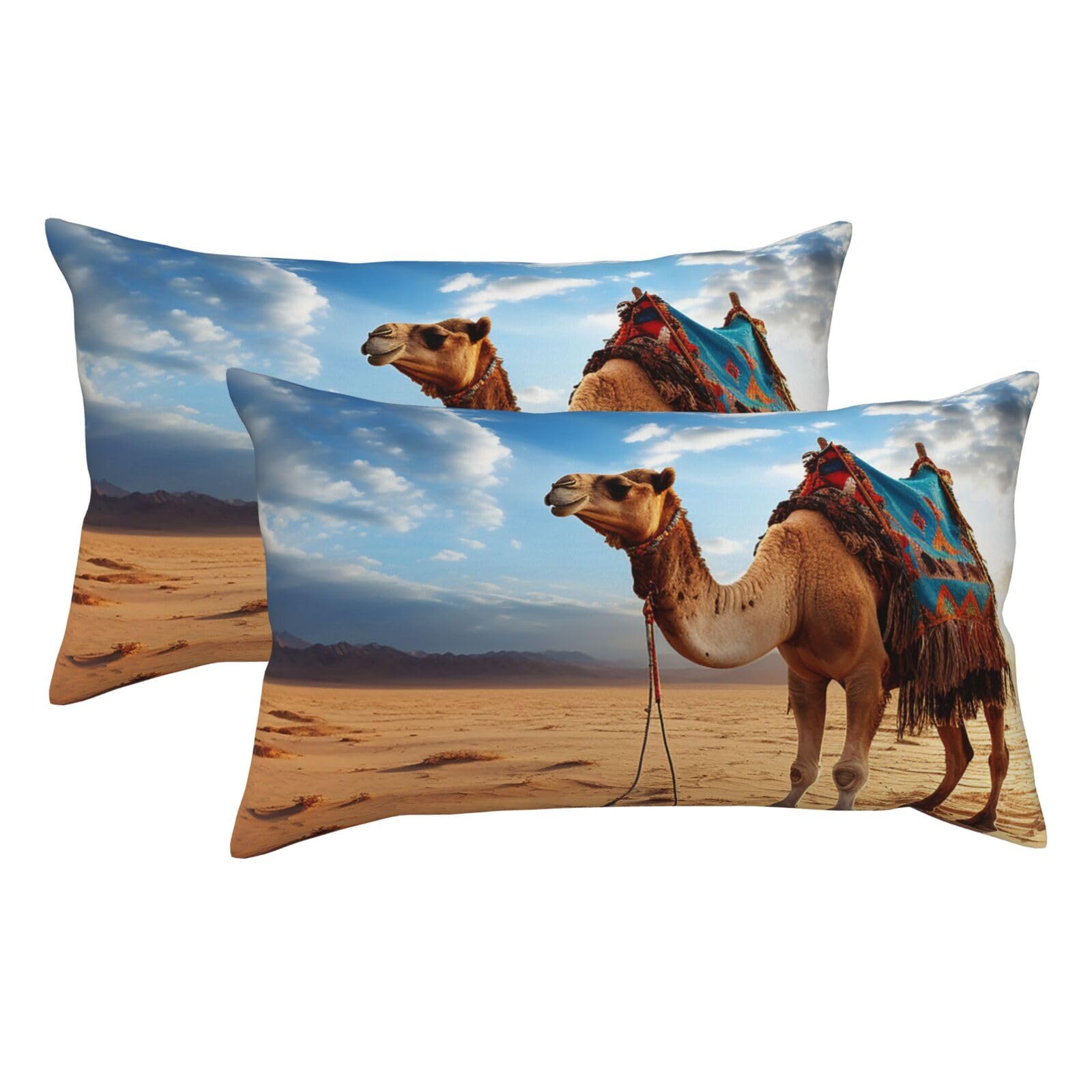 2 Pack King Pillow Cases with Hidden Zipper, Soft Breathable Pillow Covers for Hair and Skin, Camel Blue Sky Pillowcases 20"x36" Bed Pillow Protectors Cover for Sleeping Gifts