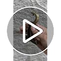 Image of Elite Aluminum Curtain Rod Brackets - Heavy-Duty Wall Mount Clamps for Curtain Rod Support for Door and Window Curtain Rods with Screw and Wall Plug - Pack of 2PCS (Brass Antique ARC)