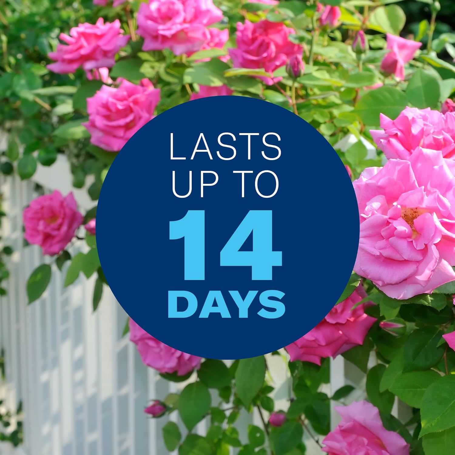 BioAdvanced 3 in 1 Insecticide & Fungicide for Plants, Disease & Plant Mite Control, Concentrate, 32 FOZ