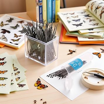 100 Pcs Insect Pins Specimen Stainless Steel with Plastic Box Resin for Head for Entomology Dissection for Butte, Science Education, Insect Pins
