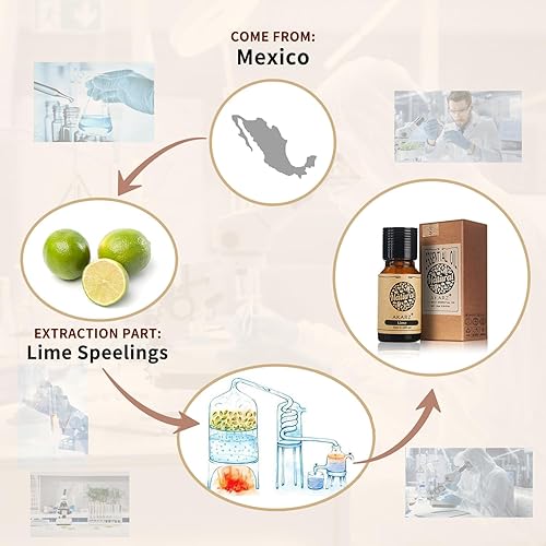 Miniatura 156 de AKARZ Aceite esencial de vainilla natural orgánico puro aceite de vainilla terapéutico prémium para el cuidado del cabello de la piel, cuerpo