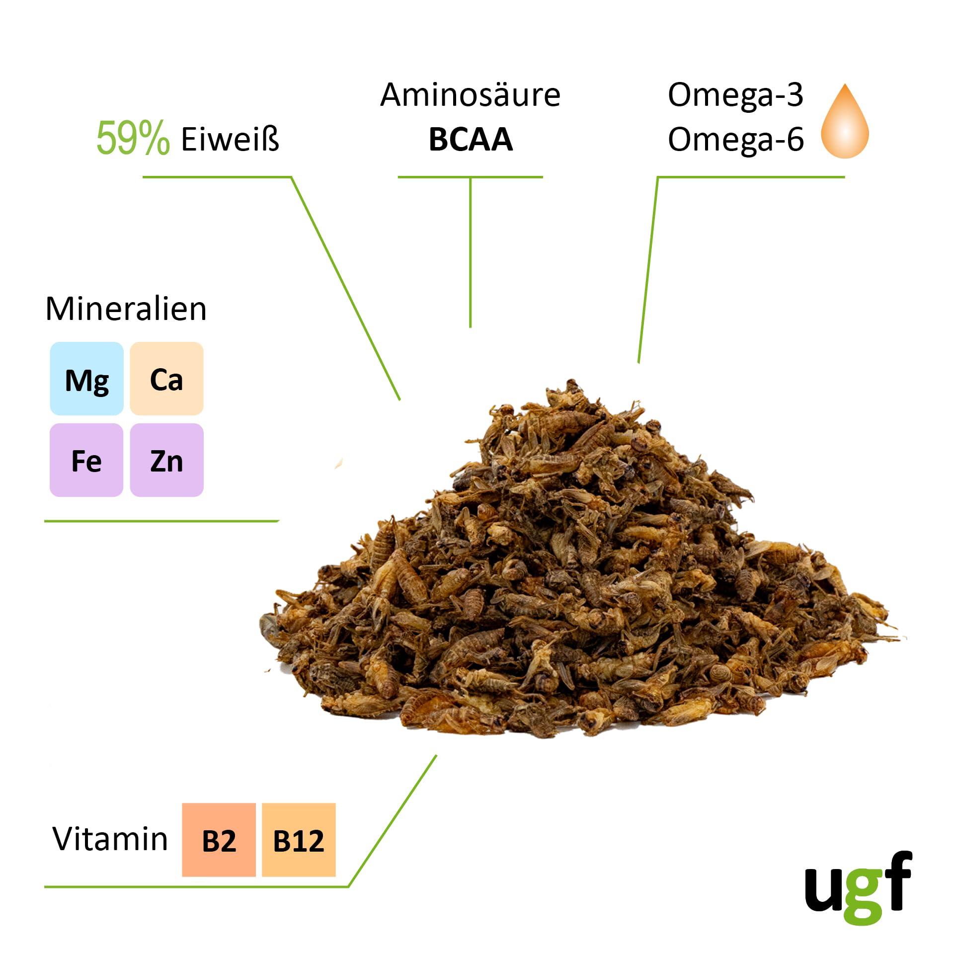 UGF - Suszone małe świerszcze - 80 g w wiaderku 500 ml, Owady świerszcze, Karma dla ptaków dzikich (całoroczna), Karma dla żółwi, Karma dla jeży, Karma dla jaszczurek, Karma dla ryb