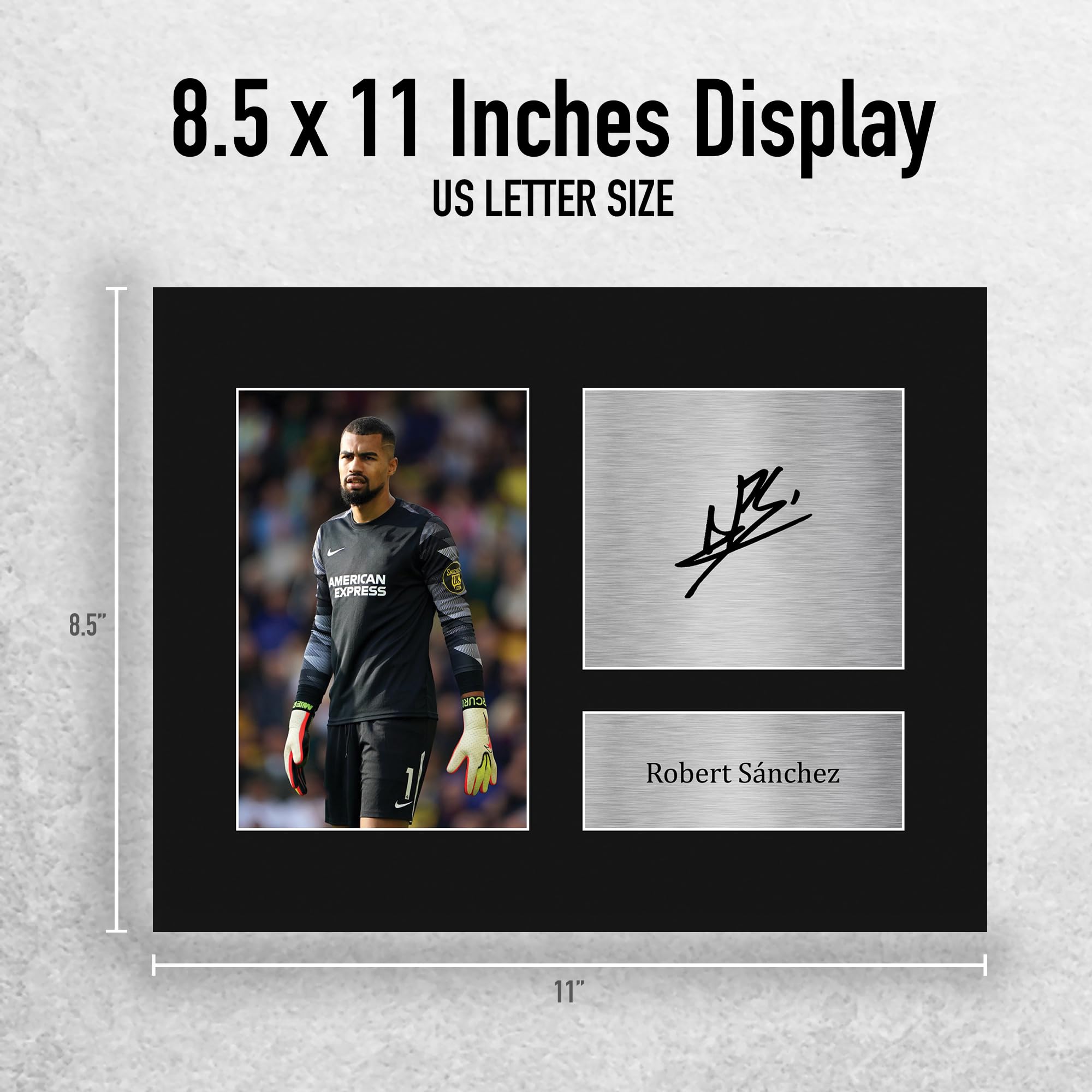 Amazon.com: HWC Trading Robert Sanchez Brighton & Hove Albion