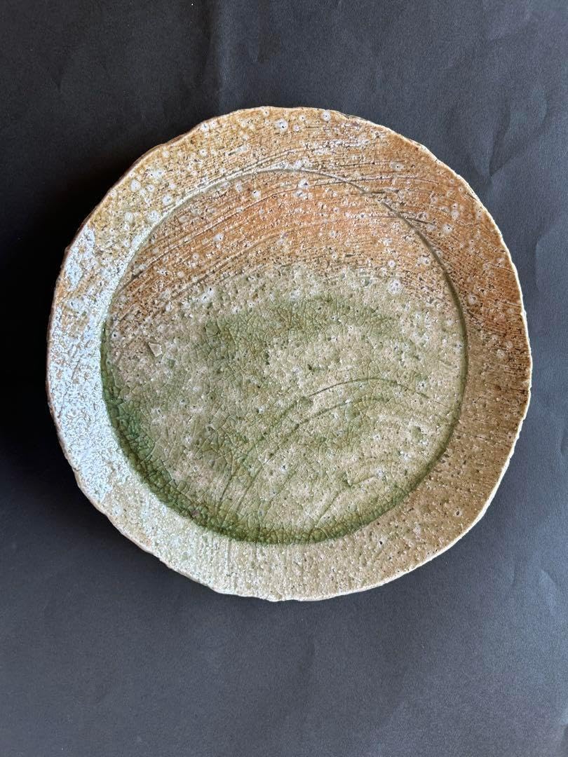 伊賀焼 灰釉 盛皿 大皿約26㎝ 蓮 善隆 作家物 工芸品