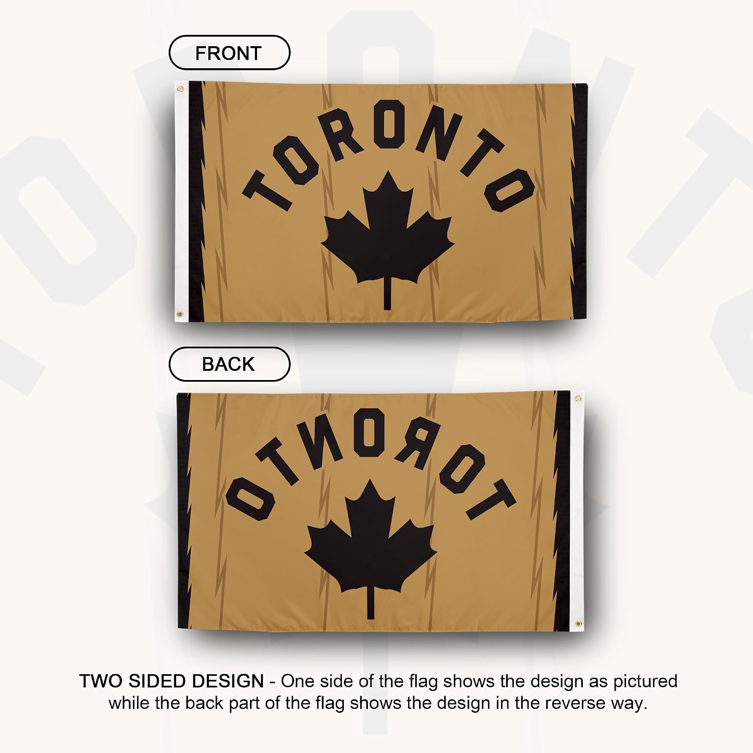Desert Cactus Toronto Raptors Flag NBA 100% Polyester Indoor Outdoor 3x5 feet National Basketball Association Team Flags (Flag City Edition 2023 A)